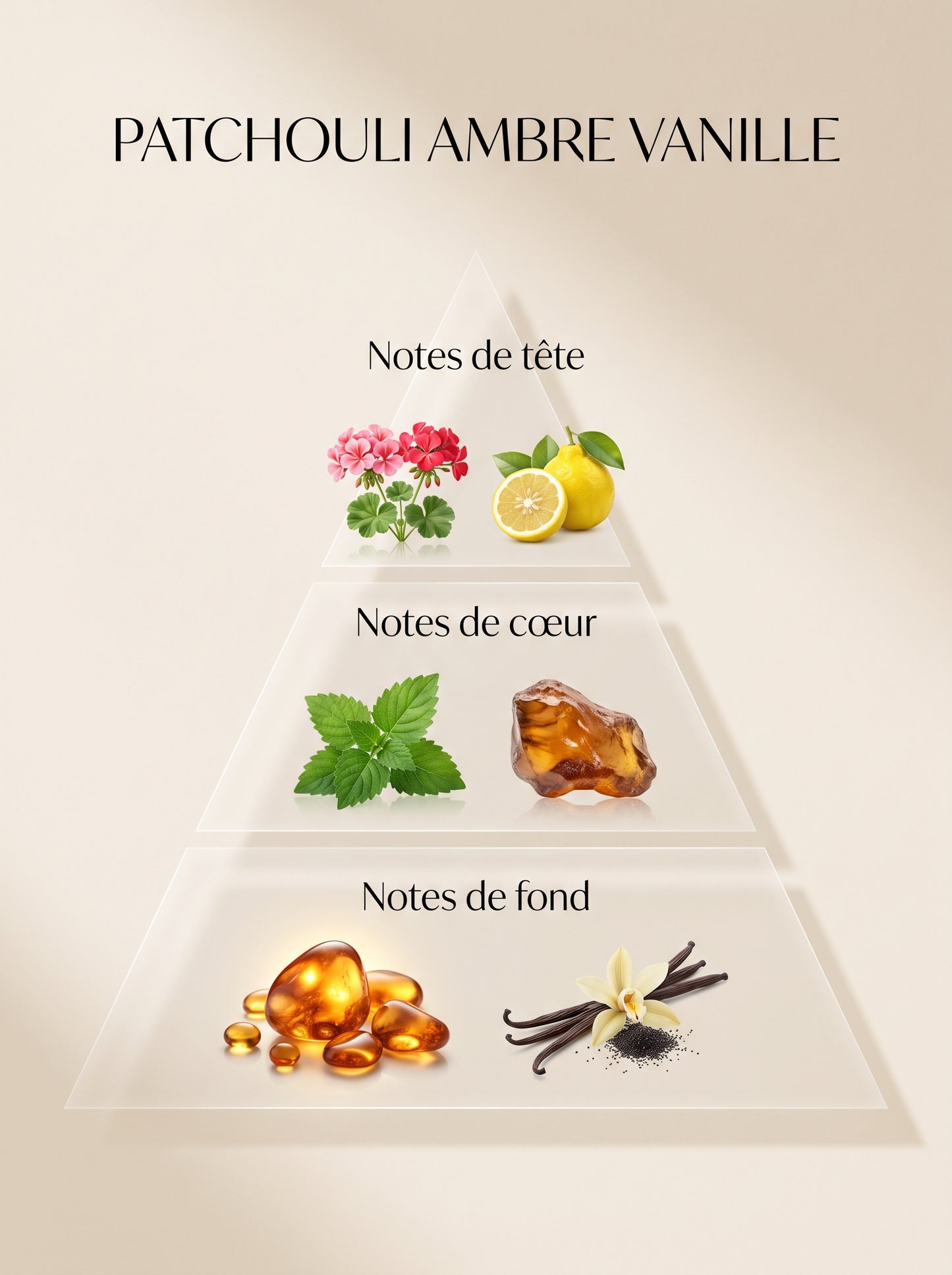 Patchouli, Ambre, Vanille