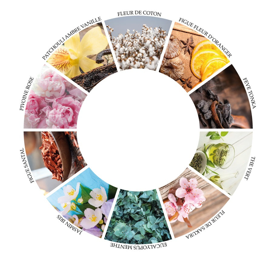 BOUGIE PARFUMÉE SIGNATURE JASMIN IRIS AVEC CLOCHE