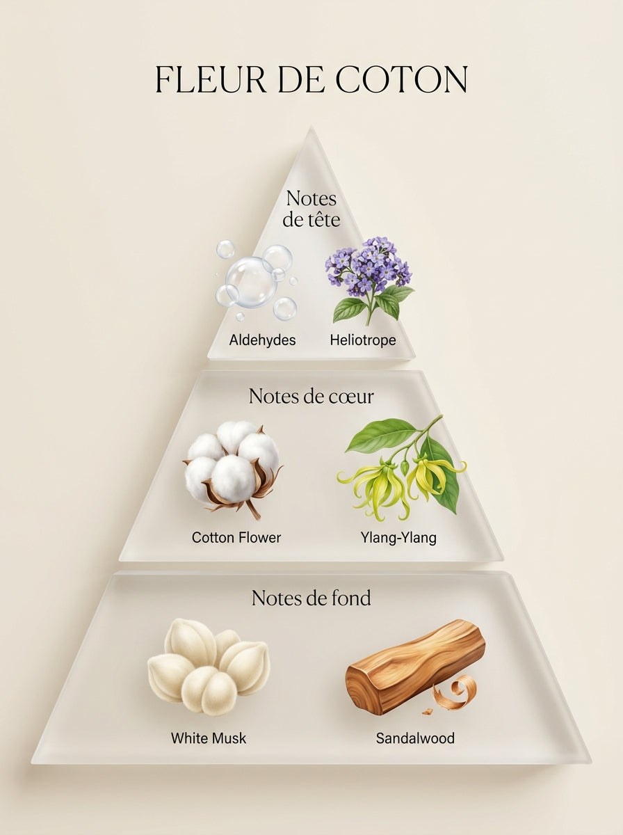 Fleur de Coton