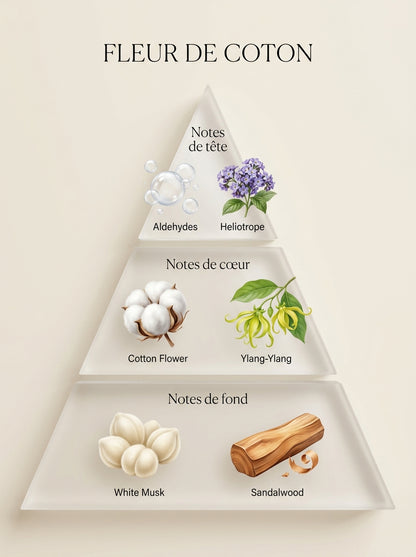 Fleur de Coton