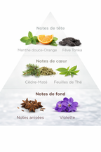 Bougie Parfumée Éternel – Blanc – Eveil intense