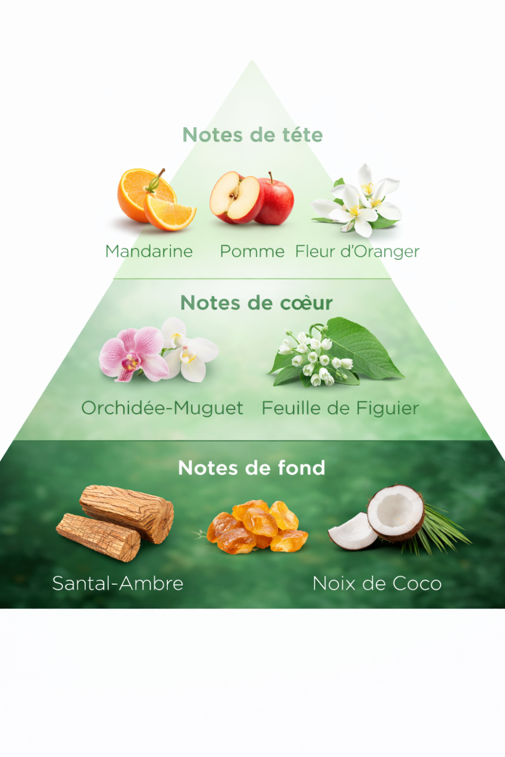 Coffret Cadeau Mom Parfum Édtion Jardin Secret collection bougie Éternel et diffuseur