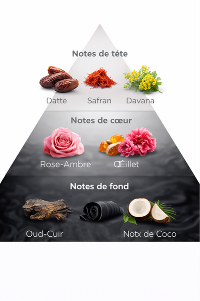Pyramide Olfactive